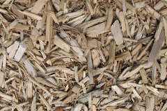 biomass boilers Allercombe